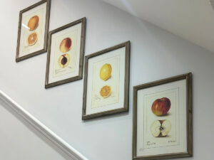 DISCONTINUED - Set of 4 Framed Sicilian Sweetness Prints