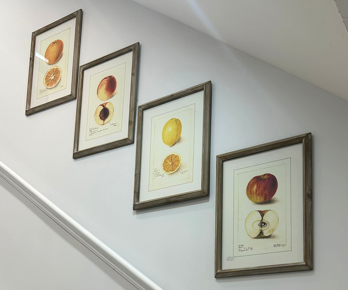 DISCONTINUED - Set of 4 Framed Sicilian Sweetness Prints