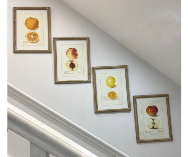 DISCONTINUED - Set of 4 Framed Sicilian Sweetness Prints