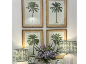 Set of 4 Framed South American Palms