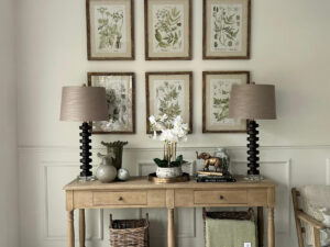 Set of 6 Framed Botanical Studies
