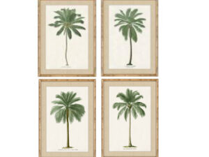 Set of 4 Framed South American Palms