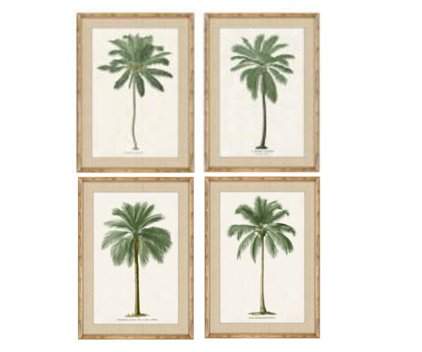PRE-ORDER - Set of 4 Framed South American Palms