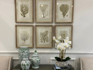 Set of 6 Framed Baros Reef