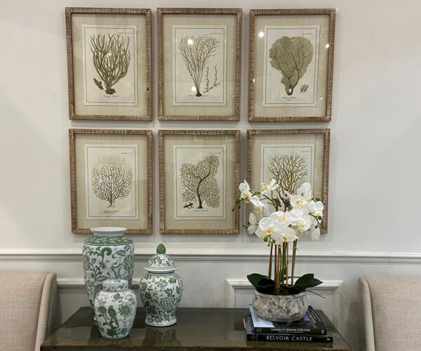 Set of 6 Framed Baros Reef