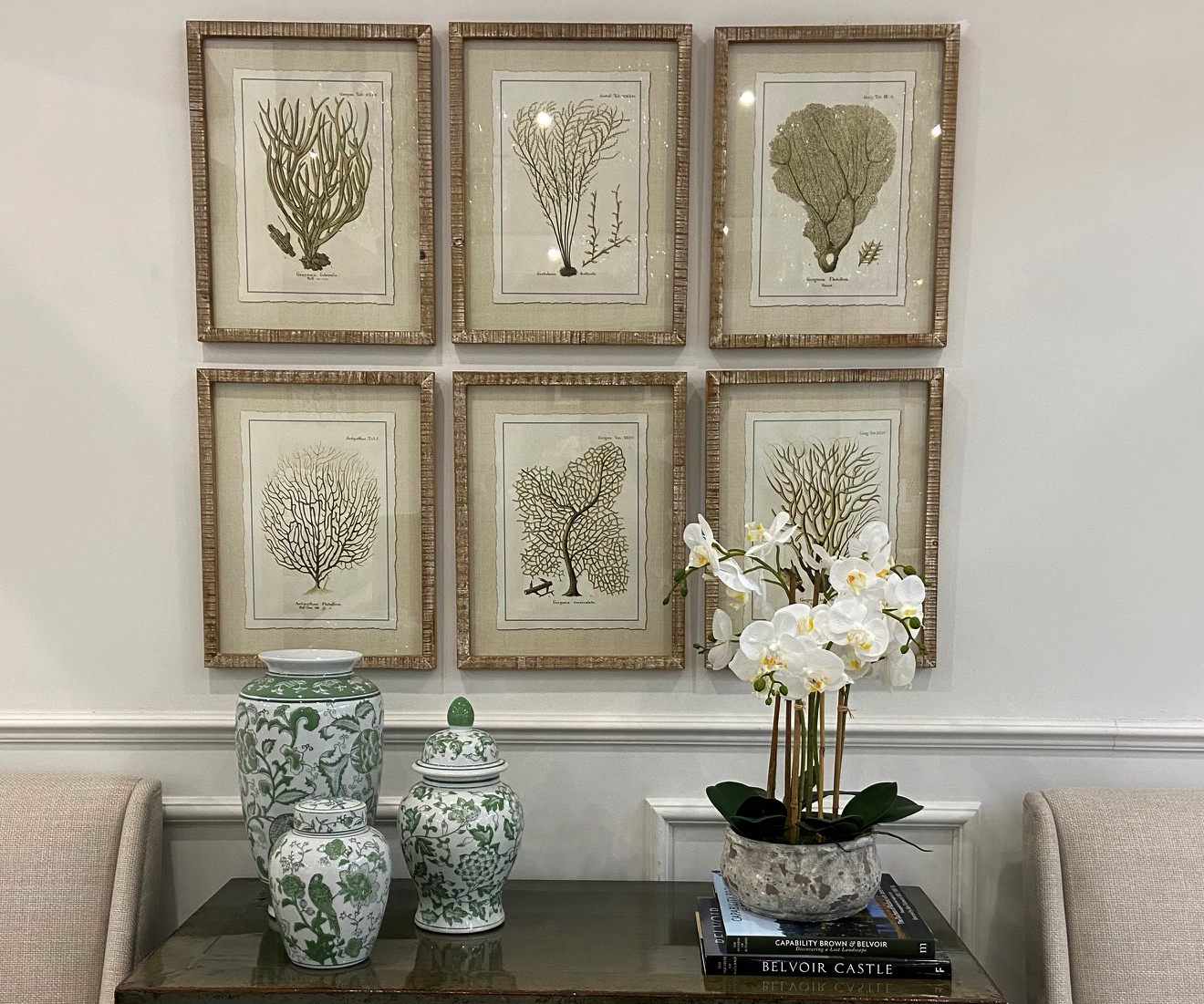 Set of 6 Framed Baros Reef
