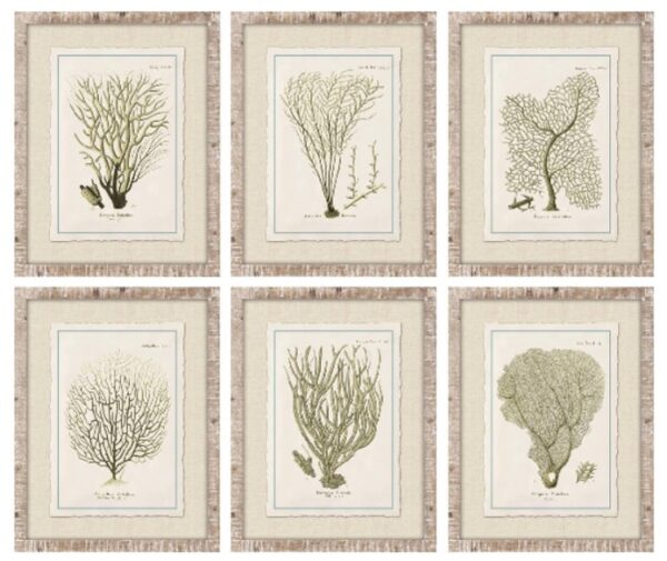 PRE-ORDER - Set of 6 Framed Baros Reef