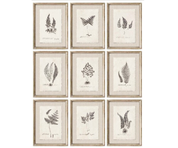 PRE-ORDER - Set of 9 Framed Botanical Ferns