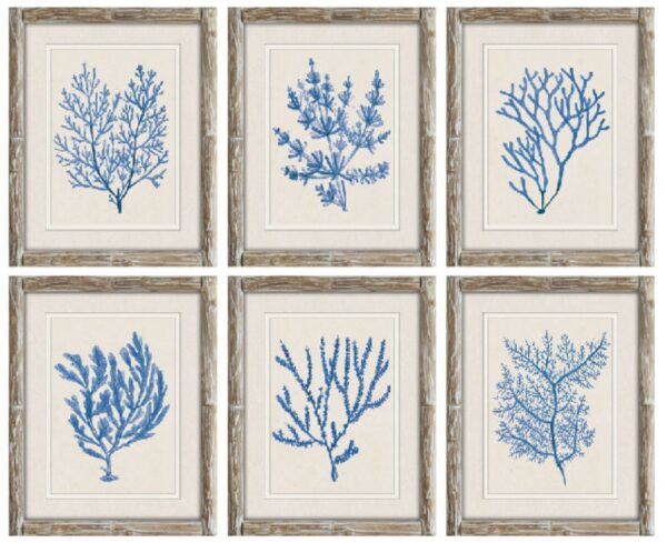 PRE-ORDER - Set of 6 Framed Coral Reef