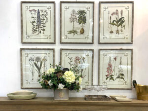 Set of 6 Framed Summer Garden