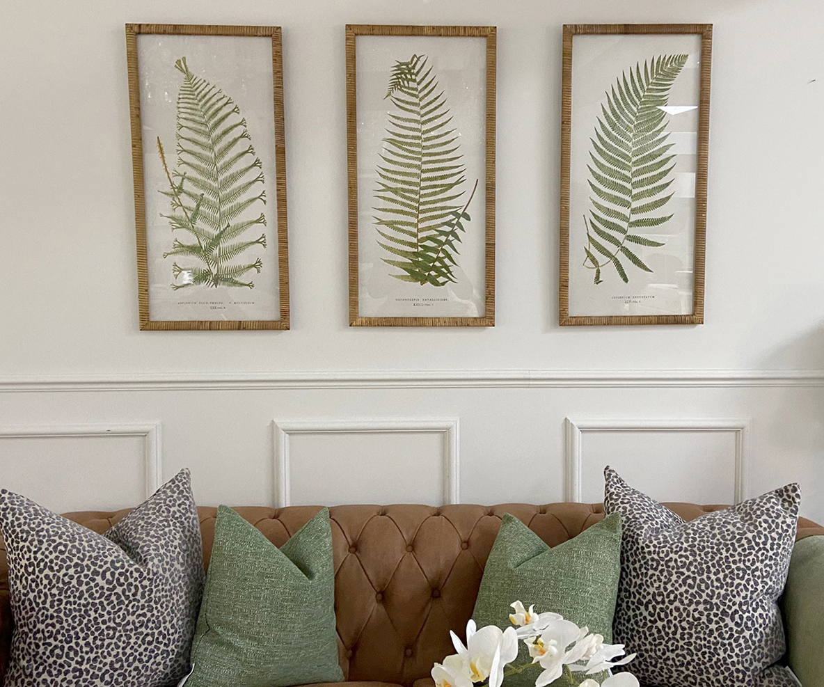 DISCONTINUED - Set of 3 Framed Tropical Ferns