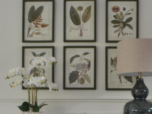 Set of 6 Framed Tropical Fruits