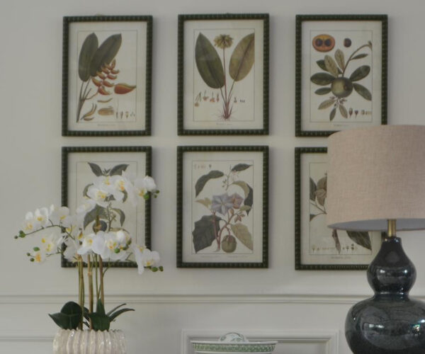 Set of 6 Framed Tropical Fruits
