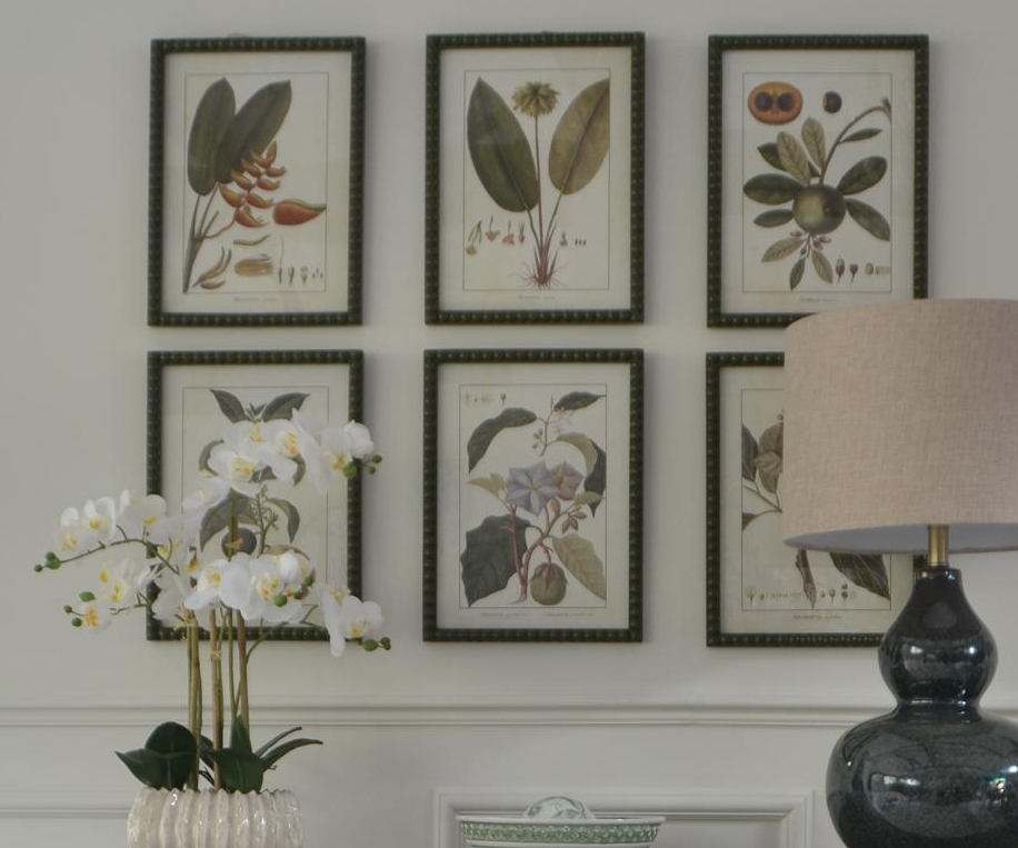 Set of 6 Framed Tropical Fruits