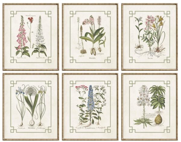 PRE-ORDER - Set of 6 Framed Summer Garden