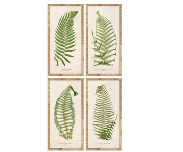 PRE-ORDER - Set of 4 Framed Tropical Ferns