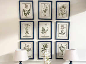 Set of 9 Framed Wild Blooms