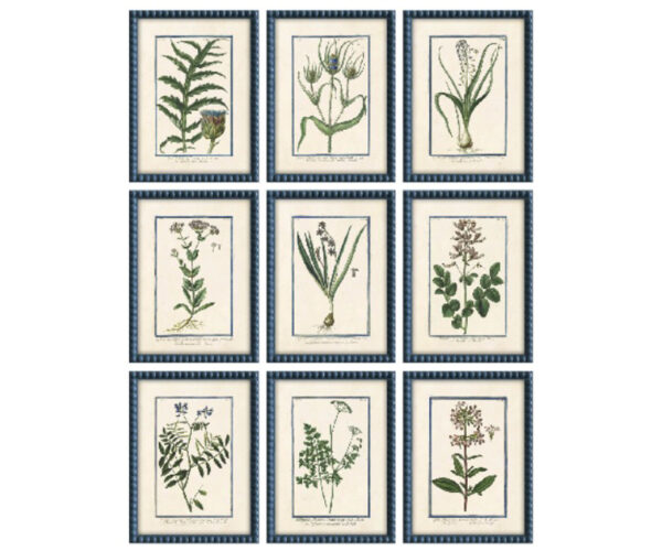 PRE-ORDER - Set of 9 Framed Wild Blooms