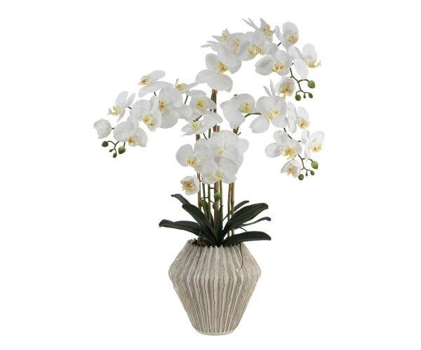 Real Touch Orchid in Decorative Cream Pot, 29.5"