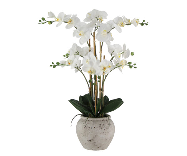 Real Touch Orchid in Stone Pot, 27.5"