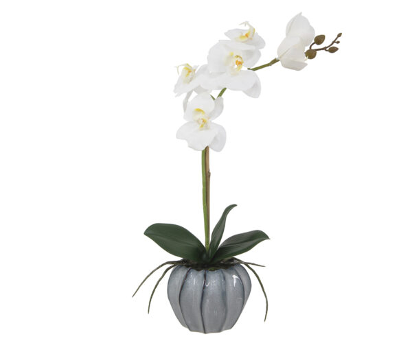 Real Touch Orchid in Grey Ombre Pot, 16"