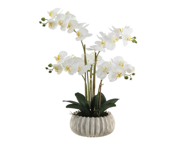 Real Touch Orchid in Decorative Cream Pot, 23"