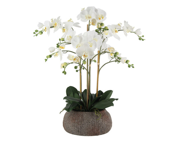 Real Touch Orchid in Dark Stone Pot, 27.5"