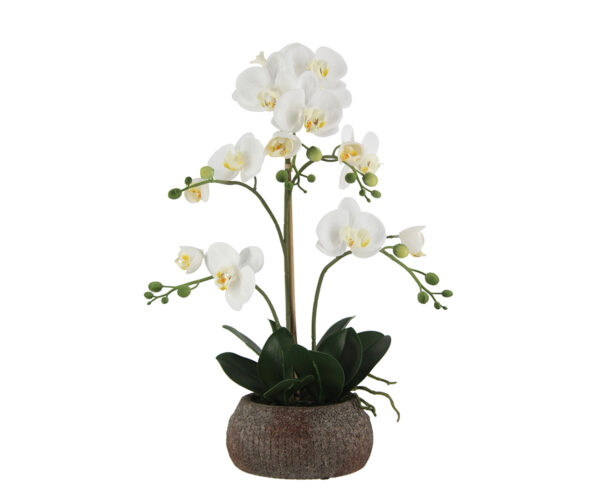 Real Touch Orchid in Dark Stone Pot, 22"