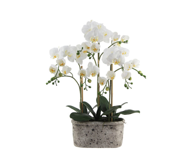 Real Touch Orchid in Oval Stone Pot, 25"