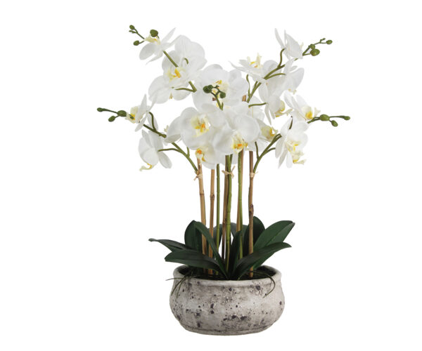 Real Touch Orchid in Round Stone Pot, 22.5"