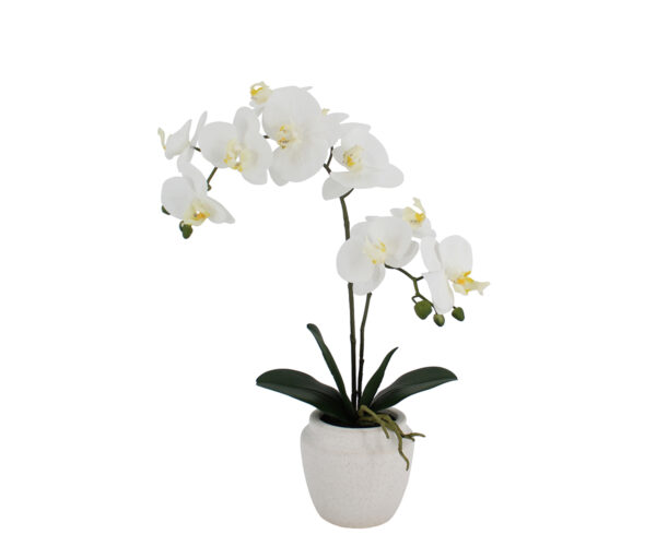 Real Touch Orchid in White Pot, 21"