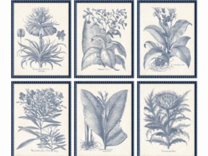 Set of 6 Framed Indigo Thistles Prints