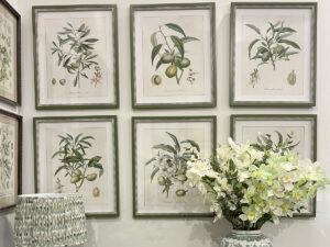 Set of 6 Framed Orchard Botanica