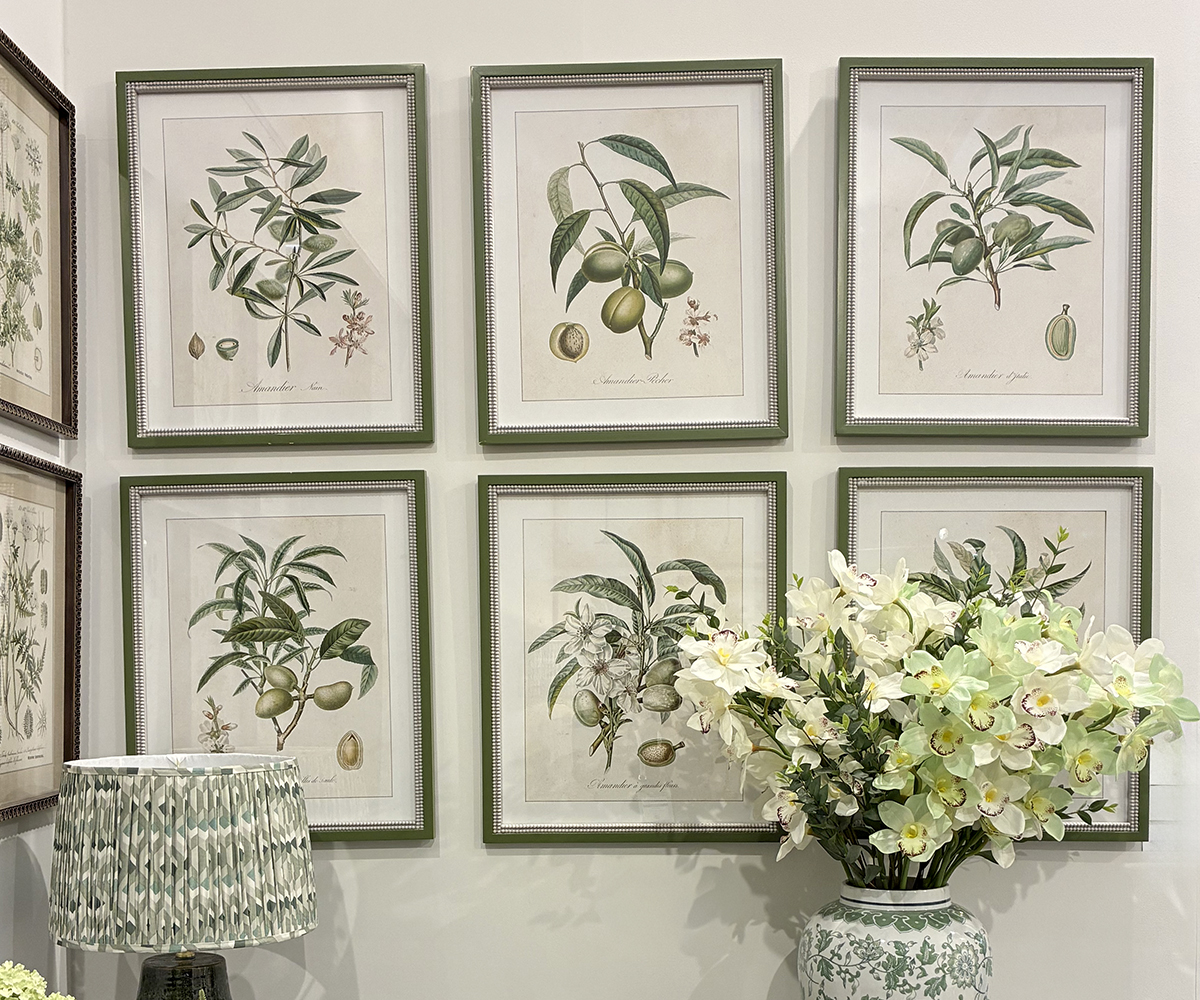 Set of 6 Framed Orchard Botanica