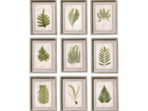 Set of 9 Framed Botanical Fern Prints