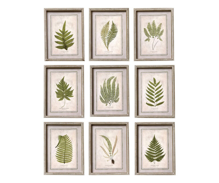 Set of 9 Framed Botanical Fern Prints