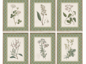 Set of 6 Countryside in Bloom Prints