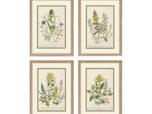 Set of 4 Framed Whispers of the Meadow Prints