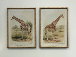 Set of 2 Maasimara Prints