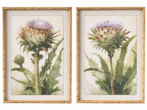 Set of 2 Artichoke Thistle Prints
