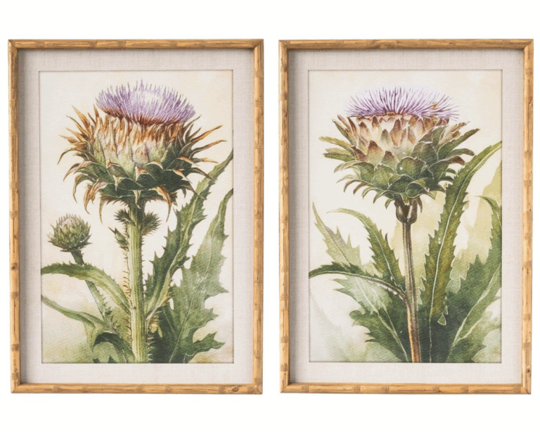 Set of 2 Artichoke Thistle Prints