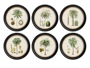 Set of 6 Round Framed Studies of the Palm Prints