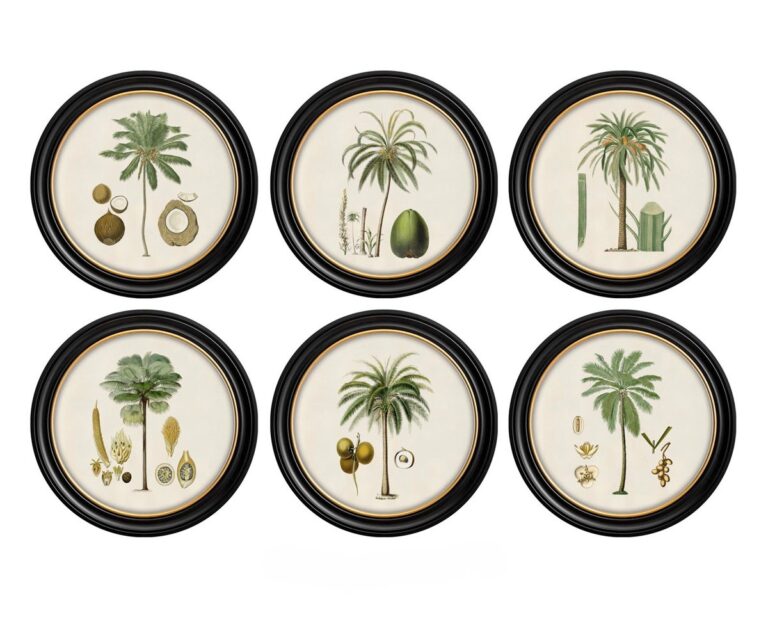 Set of 6 Round Framed Studies of the Palm Prints
