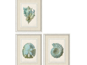 Set of 3 Framed Tidal Whisper Prints