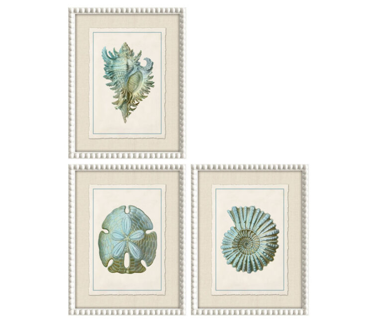 Set of 3 Framed Tidal Whisper Prints