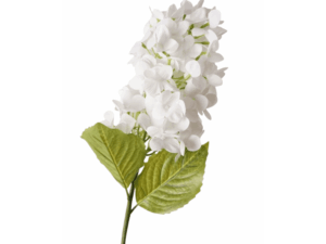 Real Touch White Paniculate Hydrangea Stem, 70cm