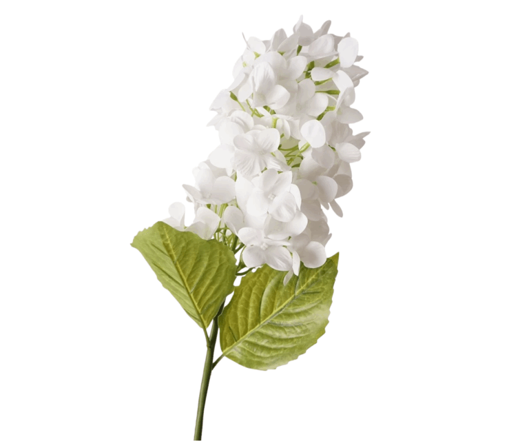 Real Touch White Paniculate Hydrangea Stem, 70cm
