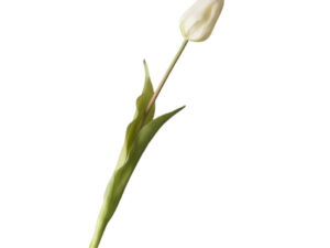 Real Touch Large White Tulip Stem, 46cm