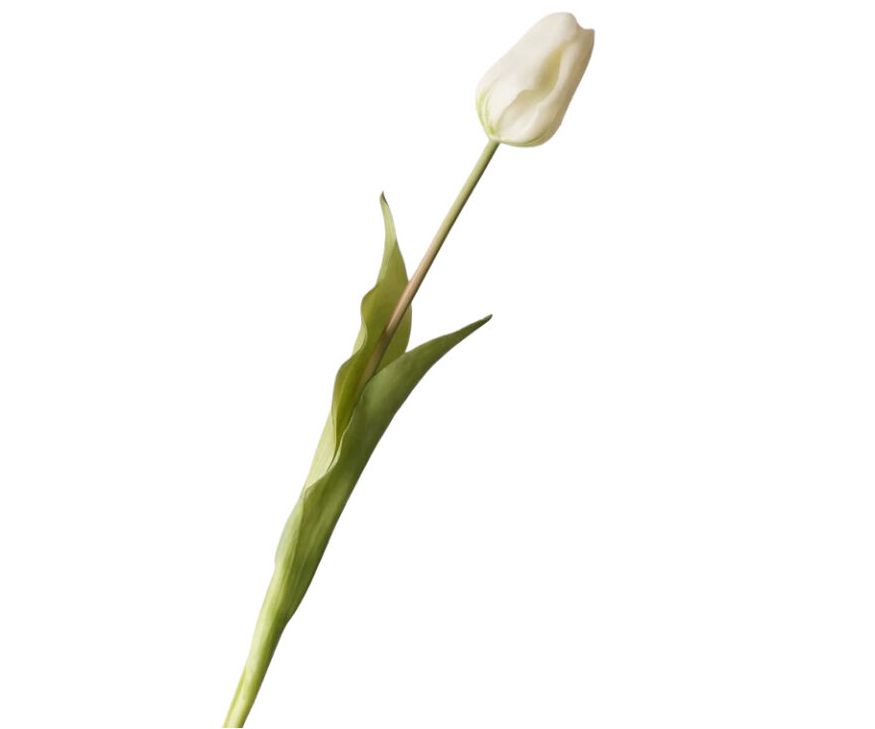 Real Touch Large White Tulip Stem, 46cm