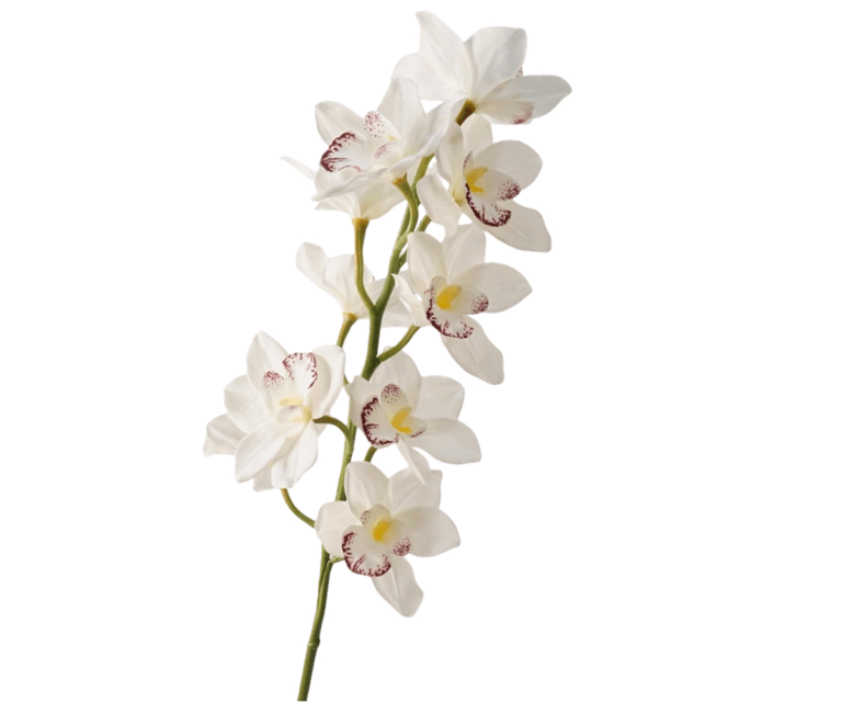 Real Touch White & Pink Cymbidium Orchid Stem, 91cm